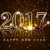 Happy New Year 2017 / Szczęśliwego Nowego Roku 
