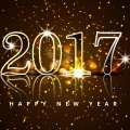 Happy New Year 2017 / Szczęśliwego Nowego Roku 